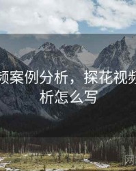 探花视频案例分析，探花视频案例分析怎么写
