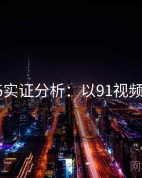 2025实证分析：以91视频为例