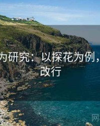 2025行为研究：以探花为例，探花要改行