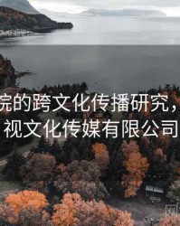 星空影院的跨文化传播研究，星空影视文化传媒有限公司