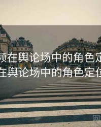 探花视频在舆论场中的角色定位，探花视频在舆论场中的角色定位怎么写