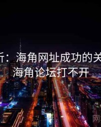案例分析：海角网址成功的关键因素，海角论坛打不开