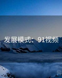 发展模式：91视频