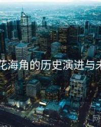 国产探花海角的历史演进与未来走向