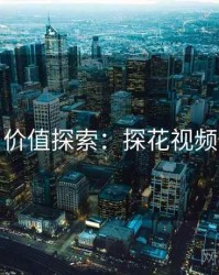 价值探索：探花视频
