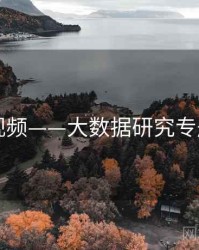 新91视频——大数据研究专题研究