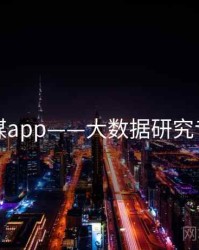 蜜桃传媒app——大数据研究专题研究