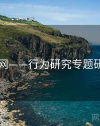 91网——行为研究专题研究