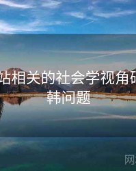 日韩网站相关的社会学视角研究，日韩问题