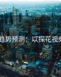 2025趋势预测：以探花视频为例