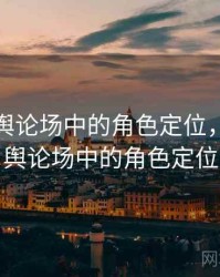 91网在舆论场中的角色定位，91网在舆论场中的角色定位