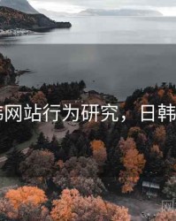 日韩网站行为研究，日韩论文