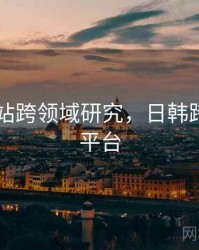 日韩网站跨领域研究，日韩跨境电商平台