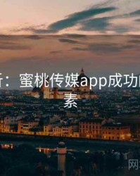 案例分析：蜜桃传媒app成功的关键因素