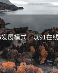 2025发展模式：以91在线为例