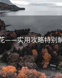 探花——实用攻略特别解读