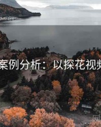 2025案例分析：以探花视频为例