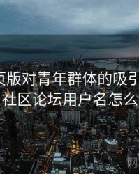 海角网页版对青年群体的吸引力分析，海角社区论坛用户名怎么设置