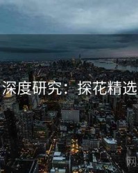 深度研究：探花精选