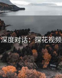 深度对话：探花视频