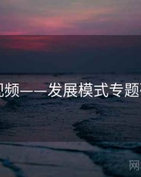 91视频——发展模式专题研究