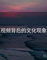 探花视频背后的文化现象解读