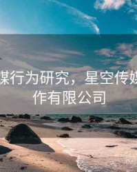 星空传媒行为研究，星空传媒发行制作有限公司