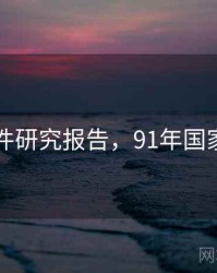 91大事件研究报告，91年国家大事件