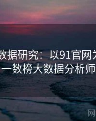 2025大数据研究：以91官网为例，九一数榜大数据分析师