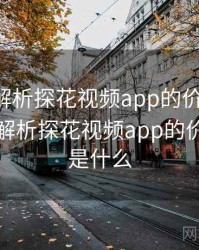 多维度解析探花视频app的价值意义，多维度解析探花视频app的价值意义是什么