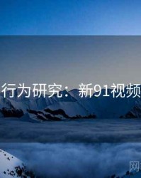 行为研究：新91视频