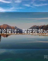 理论探讨：探花视频app