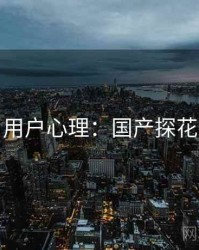 用户心理：国产探花