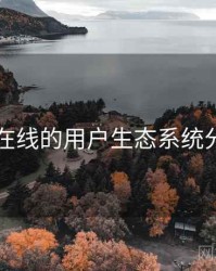 91在线的用户生态系统分析