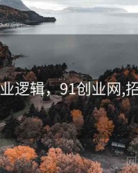 91网产业逻辑，91创业网,招商加盟