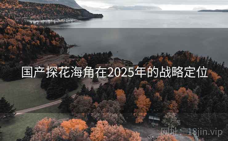 国产探花海角在2025年的战略定位