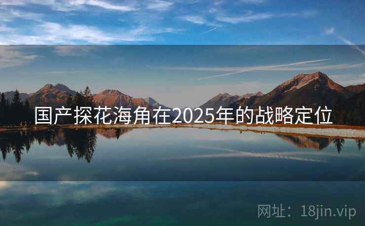 国产探花海角在2025年的战略定位