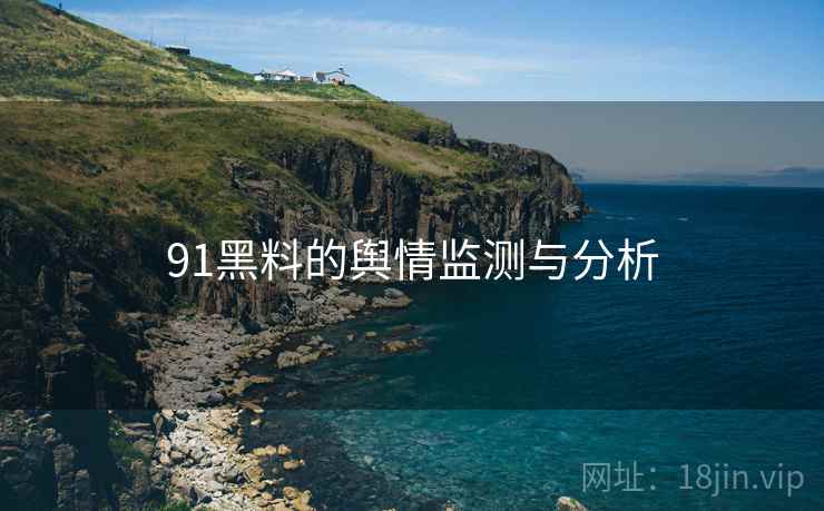 91黑料的舆情监测与分析