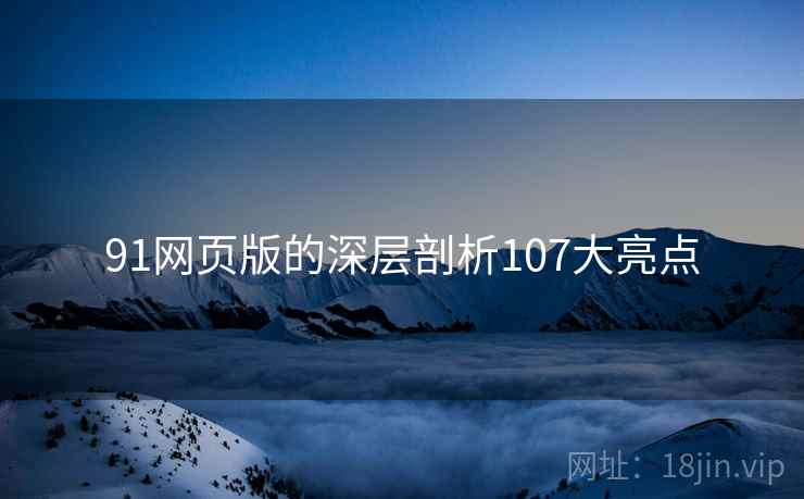 91网页版的深层剖析107大亮点