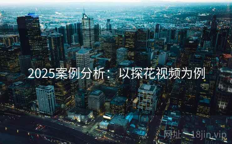2025案例分析：以探花视频为例