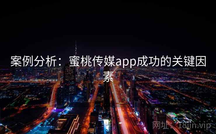 案例分析：蜜桃传媒app成功的关键因素