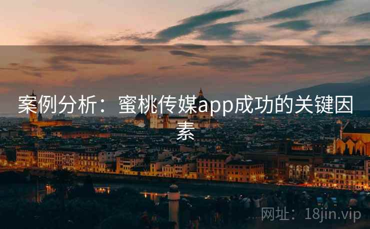 案例分析：蜜桃传媒app成功的关键因素