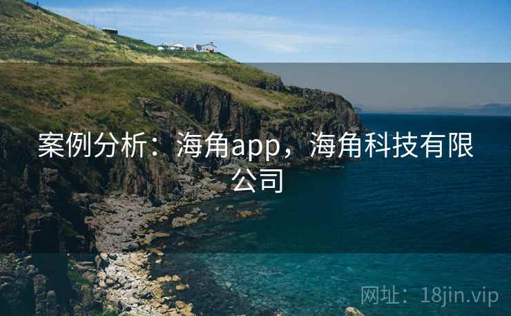 案例分析：海角app，海角科技有限公司