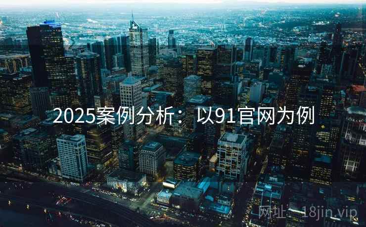 2025案例分析：以91官网为例