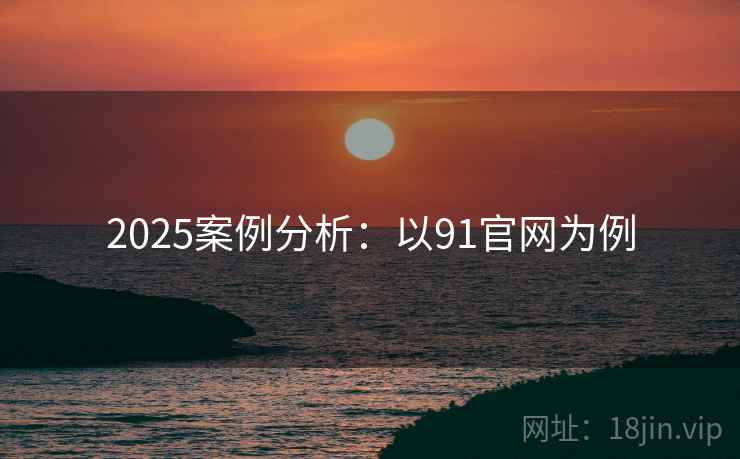 2025案例分析：以91官网为例
