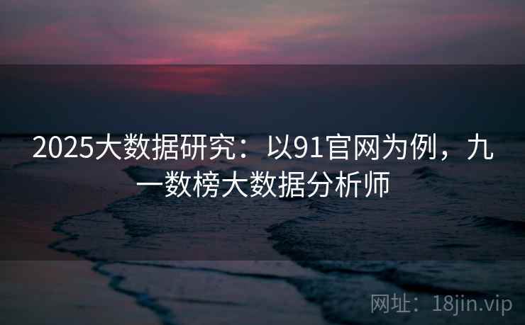 2025大数据研究：以91官网为例，九一数榜大数据分析师