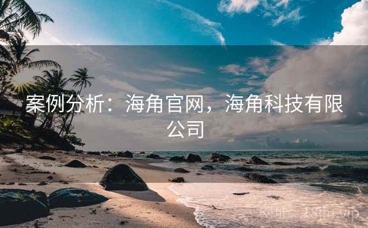 案例分析：海角官网，海角科技有限公司
