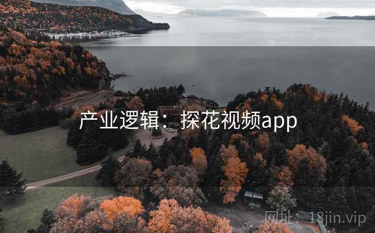产业逻辑：探花视频app